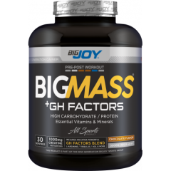 BİGJOY BİGMASS +GH FACTORS 3000 GRAM
