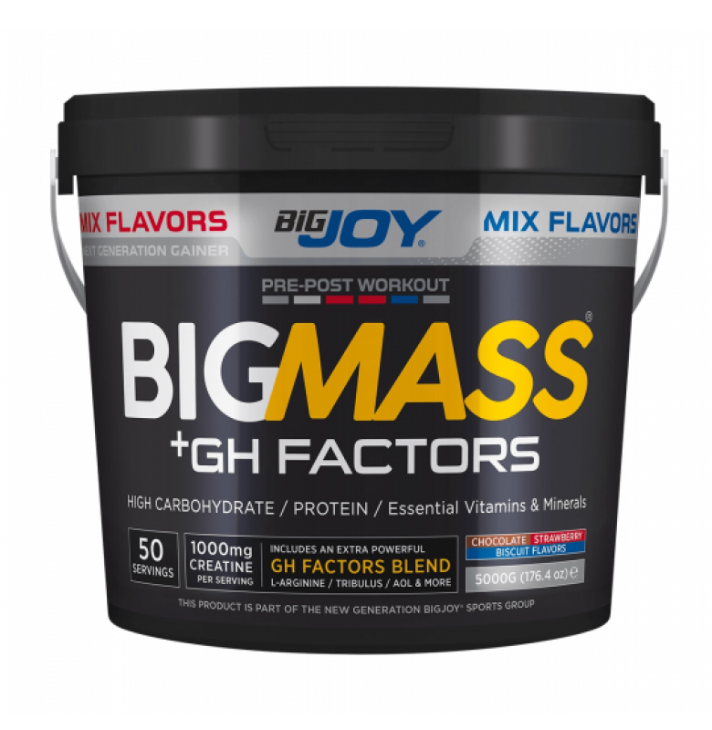BİGJOY BİGMASS +GH FACTORS 5000 GRAM